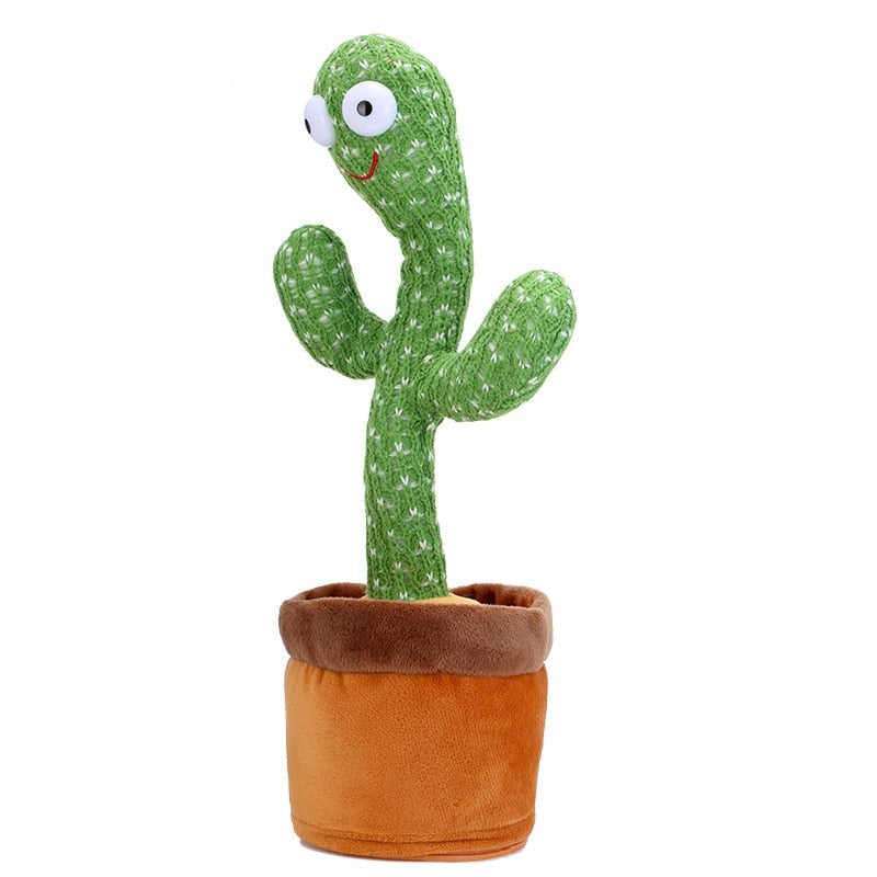 Cacti : Cactus Dansant